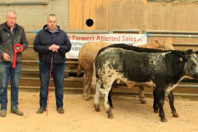 Dermot McCusker pictured with his first prize winning weanling bullock along with judge Keith Tumilty. Picture: Hilltown Mart