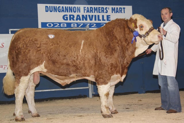 The second prize winning Ashland Bingo came under the hammer at 4,100gns for Frank Kelly, Tempo. Picture: Julie Hazelton