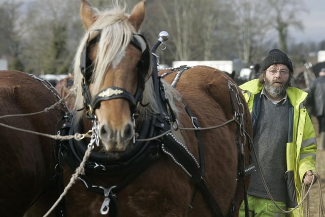 Hard work at the Mullahead Ploughing match. Picture: Steven McAuley/Kevin McAuley Photography Multimedia