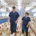 From breeding farms in Scotland and hatcheries in England to poultry production in Alabama, Allister Crawford and Luci Wallace have broadened their understanding of the industry and opened their eyes to opportunities beyond the traditional farm.