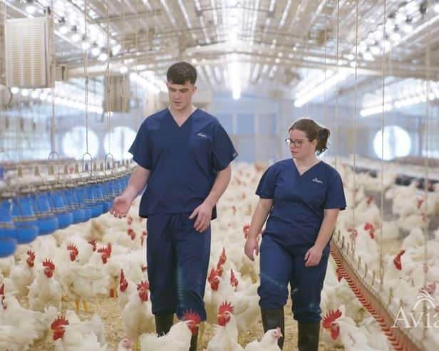 From breeding farms in Scotland and hatcheries in England to poultry production in Alabama, Allister Crawford and Luci Wallace have broadened their understanding of the industry and opened their eyes to opportunities beyond the traditional farm.