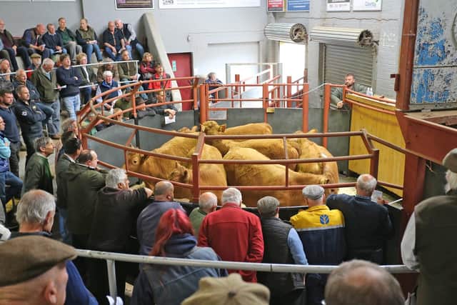 Thame Farmers Mart