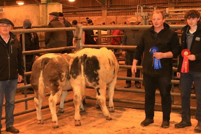 There was an outstanding turn out of top quality cattle at Hilltown Saleyard’s annual Christmas show and sale on Tuesday 14th November 2023. First and second weanling heifer exhibited by Pascal McGinn pictured with his son and father Martin McGinn. Picture: Submitted