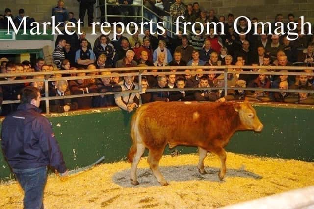 Omagh Mart