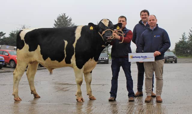 Inch Lambda exhibited by James Cleland, Downpatrick, sold for 3,600gns. Included are Stephen McKenna and Philip Gillespie, Gortavoy Feeds, sponsor. Picture: Julie Hazelton