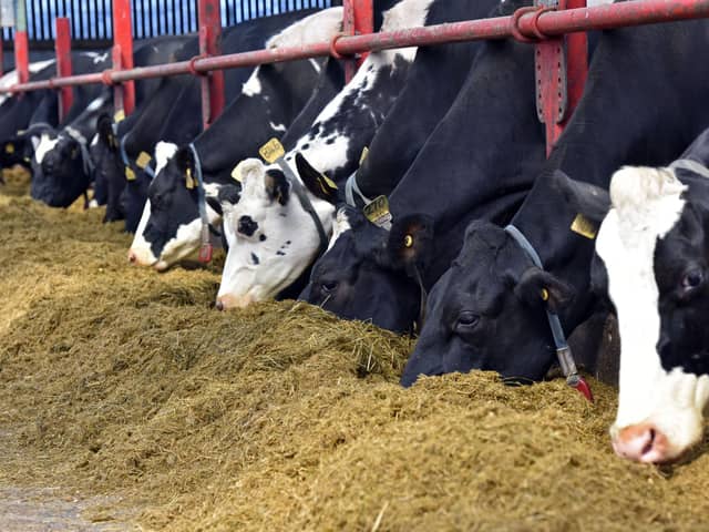 At the dairy Farming for the Future open day on 18th June, the AFBI Hillsborough dairy research team will outline nutritional approaches which can be adopted to help reduce nitrogen, phosphorus and methane losses from dairy systems. Picture: AFBI