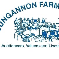 Heifers selling to £2200 for 625kg at Dungannon Mart