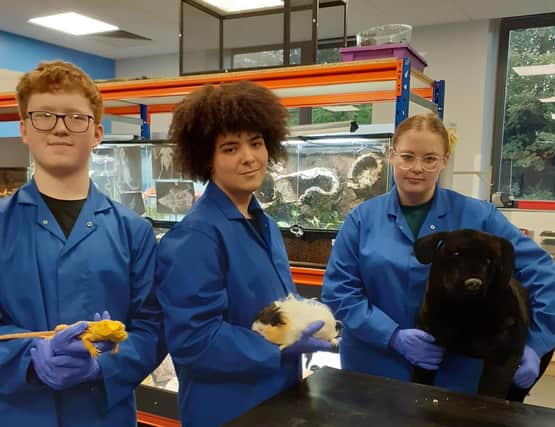 Students Give Top Tips for Animal Care over Halloween: L-R SERC Level 2 Traineeship NI in Animal Care students, Joshua Jennings (Killyleagh), Daire Magee (Killough), and Arabella Kincaid-Beattie (Seaforde) with Lucille the bearded dragon, Willow the guinea pig and Garth the training model dog at the College’s Downpatrick Campus.