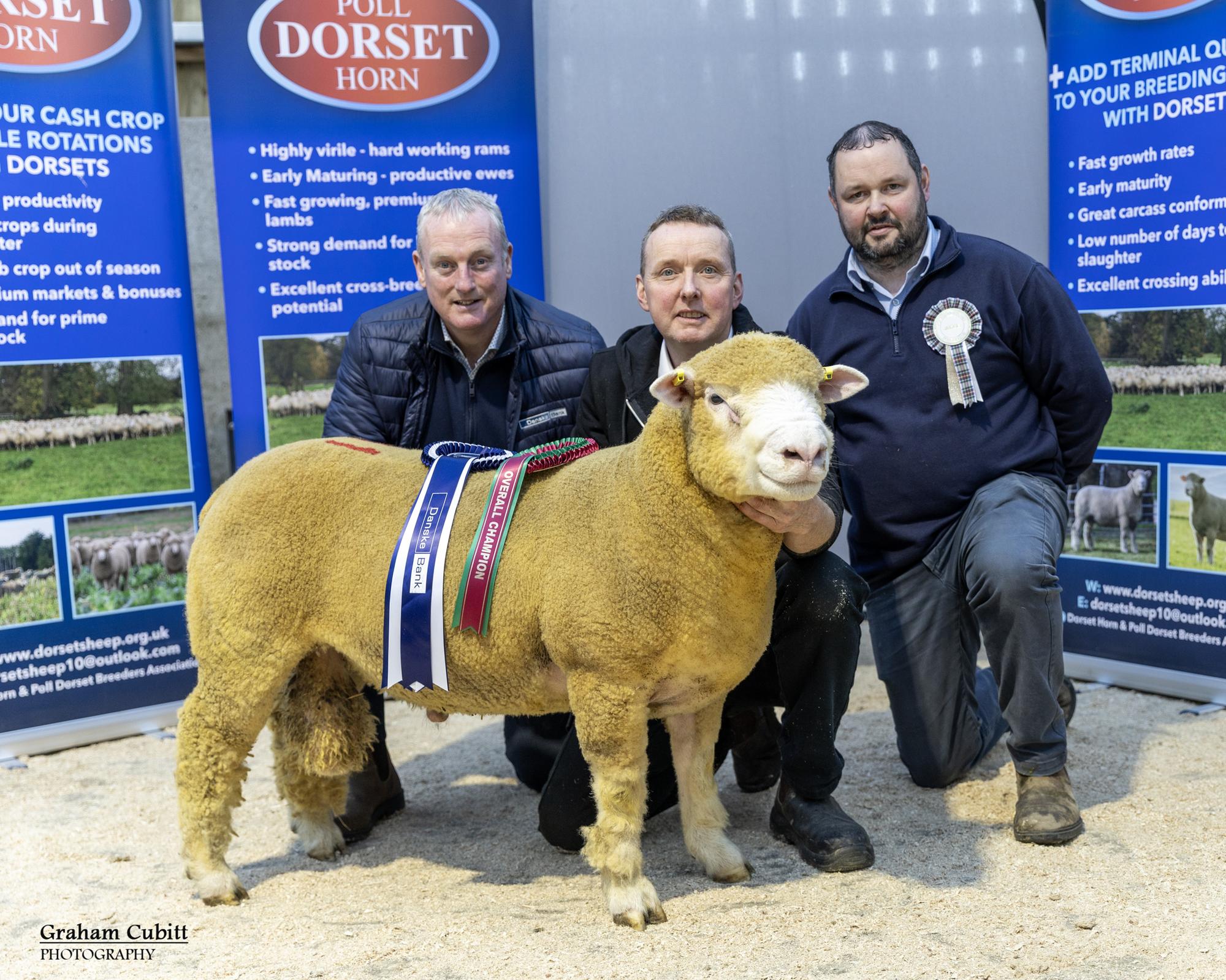 The NI Dorset Autumn Show Champion was Hilltop Impact, pictured with the judge Seamus Mullan are Seamus McCormick, Danske Bank, and winning breeder Richard Currie.
