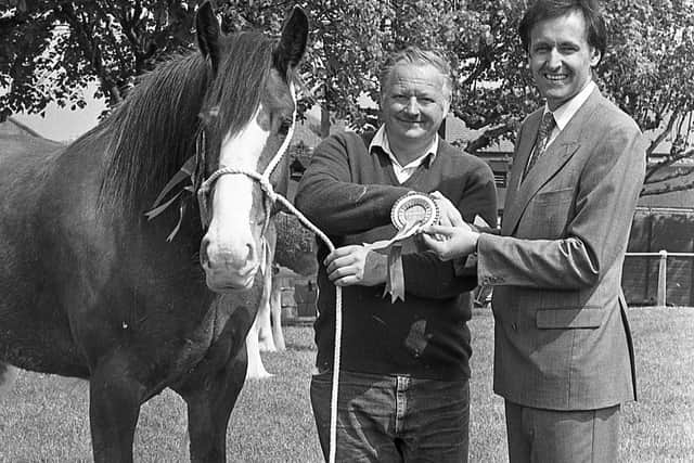 Pictured in May 1992 at the Ballymoney Show is Ronnie Morton, right, marketing manager of TSB, who is seen presenting Fred Hanna of Ballymoney, with the Clydesdale championship award. The animal, Macfin Averic, had won the championship for the past four years. Picture: News Letter archives/Darryl Armitage