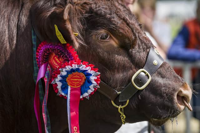 Turriff Show has an impressive number of exhibitor entries lined up for the whopping 1,500 plus classes taking place on Sunday 2 and Monday 3 August.