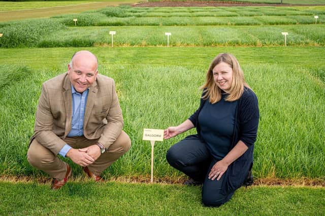 David Linton (Barenbrug UK Agriculture Commercial Manager) and Gillian Young (AFBI Forage Grass Breeder) at the forage grass breeding plots at AFBI, Loughgall.