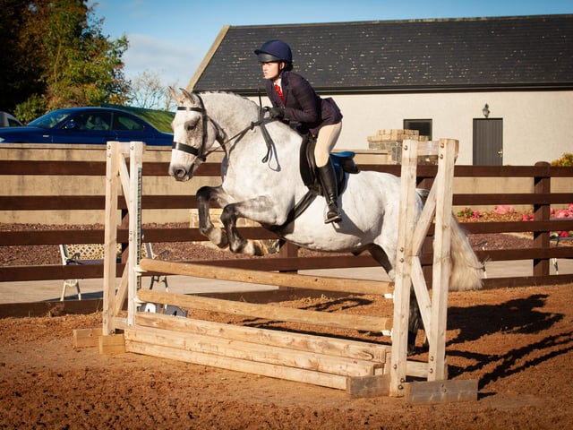 Reserve Champion Horse - Katie Longmuir, Nady Diamond