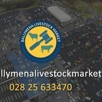 Beef bullocks selling to a top per head of £3682 at Ballymena Mart