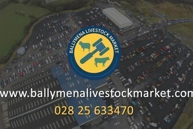 Ballymena Livestock Market
