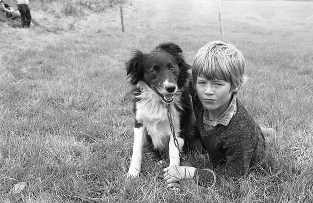 This collection of old photos is from 1981.