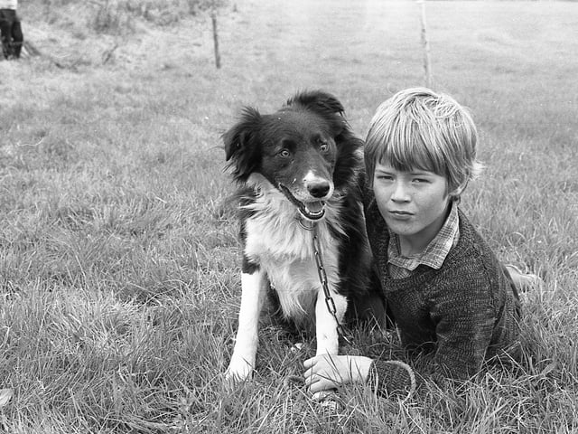 This collection of old photos is from 1981.