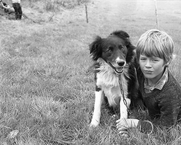 This collection of old photos is from 1981.