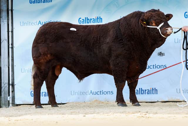 Rigel Uilaig Poll - 6500gns