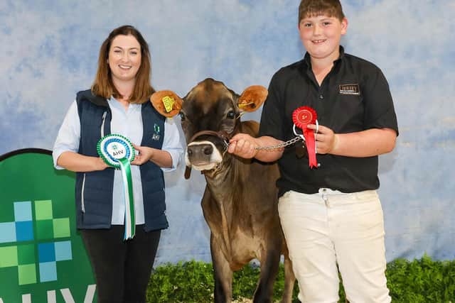 Archie McNeely with Mature Calf Class winner Uppertully Levine Lady from the McNeely Family. (Pic supplied by Ulster Jersey Cattle Club)