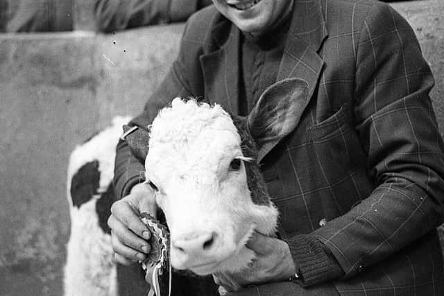 Pictured in January 1983 is William Fay of Portaferry with his Simmental baby heifer calf which was the supreme champion at the Allams show and sale of quality calves which was held in Newtownards. Picture: Farming Life/News Letter archives