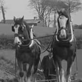 Farming Life is delighted to be bringing back the old clips from our friends at Northern Ireland Screen’s Digital Film Archive. This week's clip is from a ploughing match which was held at Ballycastle in 1965. Picture: Northern Ireland Screen’s Digital Film Archive