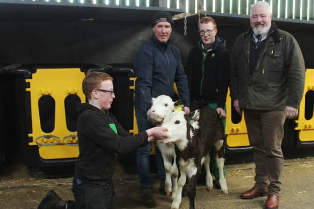 Assessing the latest Hereford-cross calves, born on the Banbridge dairy farm of the Mitchell family: Hereford Society Council Member, James Graham (right); Gordon Mitchell and his sons: Phillip and Gareth. Pic: Richard Halleron