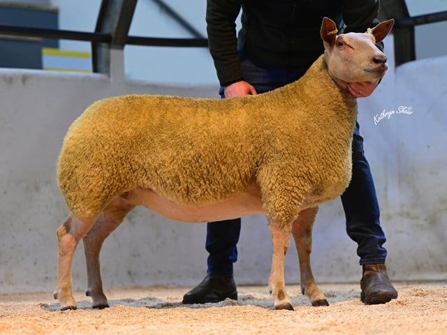 Lot 75 selling to P Vallely for 2,000gns