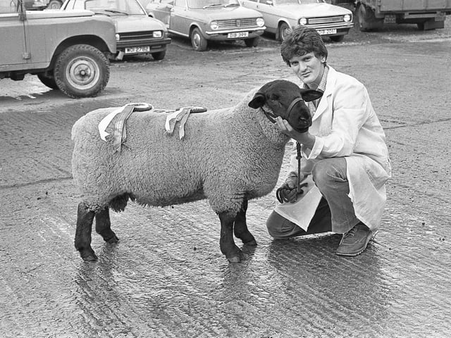 This collection of old photos is from 1981.