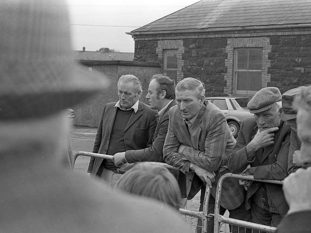 This collection of old photos is from 1981. Have a look and see who you might be able to spot in our collection of photos.