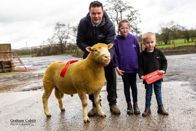 Andrew Kennedy pictured with children Ella and Harris with the first prize shearling ram.