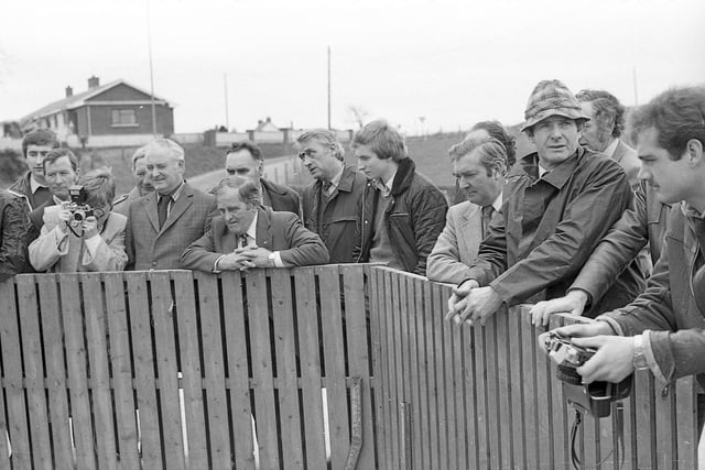 Getting the first glimpse of the new breed of Duroc pigs on the farm of Mr Stanley Anderson, Tullyconnell, Cookstown, Co Tyrone, in April 1982. Picture: Farming Life/News Letter archives