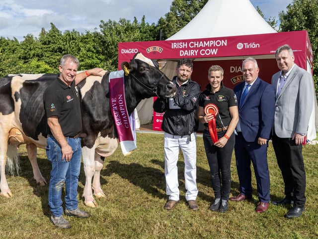 Diageo Baileys Reserve Champion and Best Protein Award Winner, at this years Virginia Show was Aliann Pepper Lila Z from Slatabogie Holsteins Co Londonderry. Pictured are owner Alan Paul, Handler Stephen McLoughlin, Leanne Paul, Robert Murphy – Category Head, Baileys and Site Manager at Tirlán Virginia