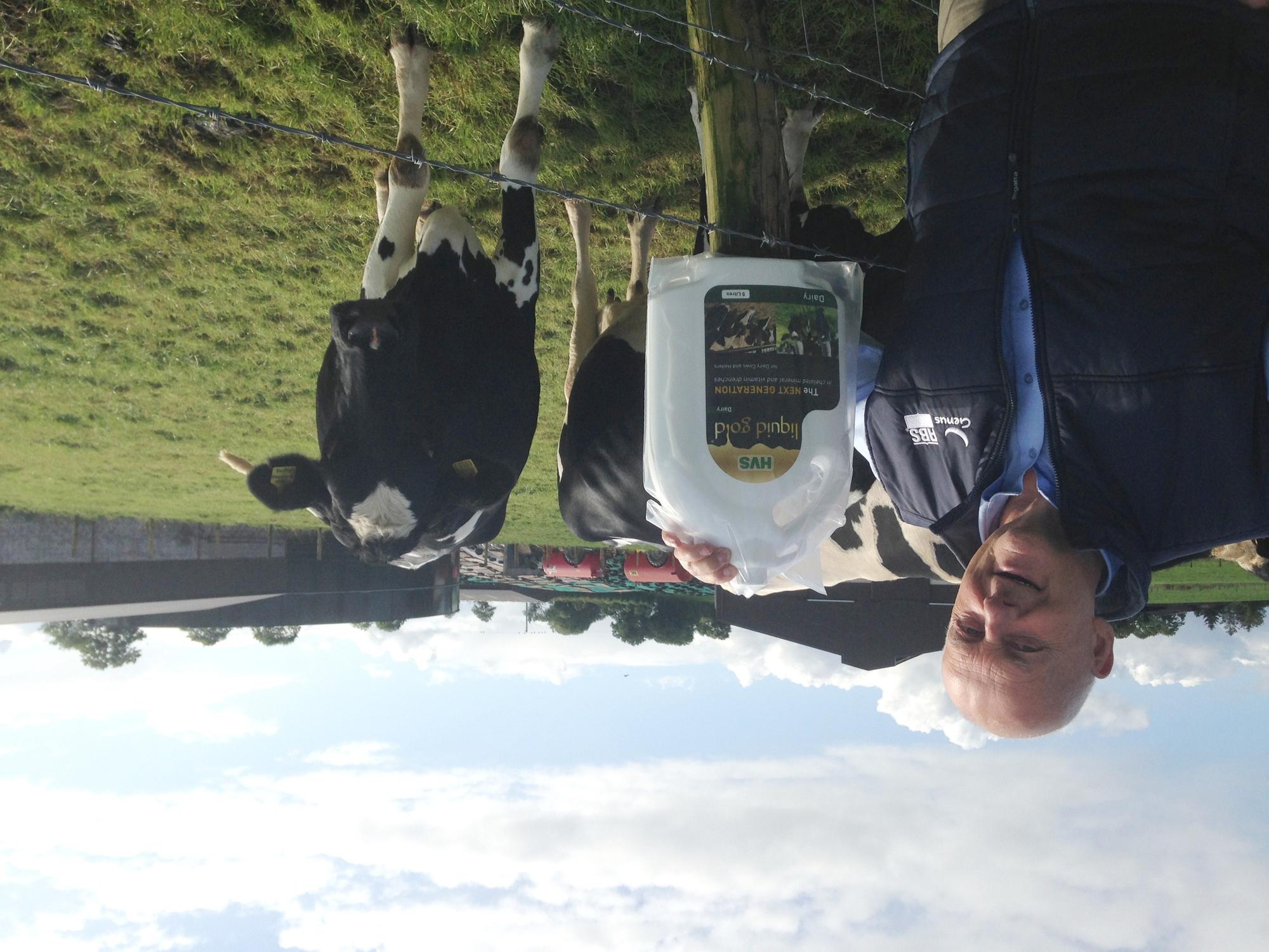 Ensuring the right balance of trace elements for dry cows and in-calf ...