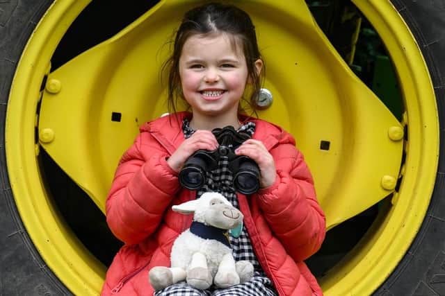 Annabelle Bargeton, 4, on the look out for some of the 1,920 Hide & Sheep cuddly toys being hidden to mark the 240th anniversary year of the Royal Highland & Agricultural Society of Scotland (RHASS)