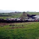 Rathfriland Mart
