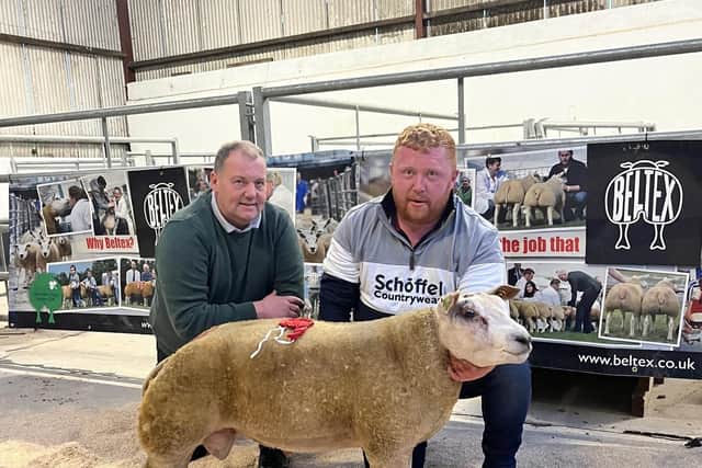 First in the ram lamb class was Lot 30, Tamnabrady Jameson, from Christopher McCrea’s Tamnabrady Flock, Strabane. Christopher is pictured with the ram lamb and judge Colin Hamilton. Pic: Beltex Society