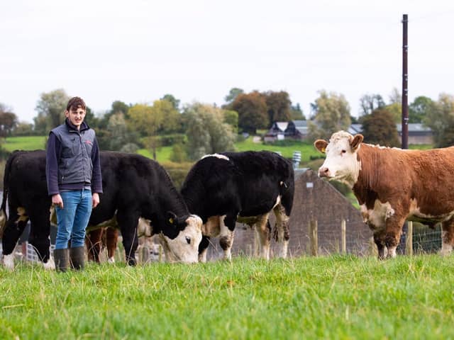 Robbie on his Fermanagh farm