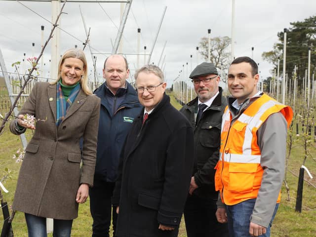Pictured at the first Apple Research Update at Teagasc Oak Park were from, left to right, Minister of State for Land Use and Biodiversity in the Department of Agriculture, Food and the Marine, Pippa Hackett, Dermot Callaghan, head of Teagasc's horticulture development department, Professor Frank O'Mara, director of Teagasc, John Spink, head of environment, crops and land use programme at Teagasc, and Alberto Ramos Luz, research officer, Teagasc. Picture: Submitted