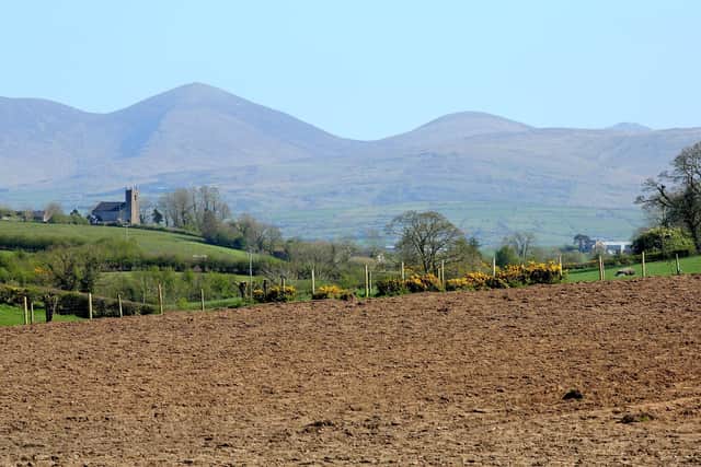 Developments in the Netherlands are a timely reminder of why farmers must remain fully engaged in policy discussions, even when those discussions are uncomfortable. Picture: Cliff Donaldson