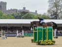 Bertram Allen steers Pacino Amiro bred in Lifford by Simon Scott, into third place for 75,000 euro in the Royal Windsor Horse Show Rolex 500,000 euro Grand Prix. Picture by Peter Nixon.