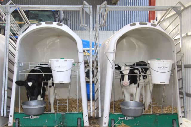 The CalfOTel Comfort Hutch is suitable for calves from birth to eight weeks of age. Picture: Julie Hazelton