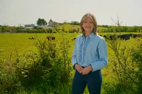 Ulster Unionist Deputy Leader Diana Armstrong MLA