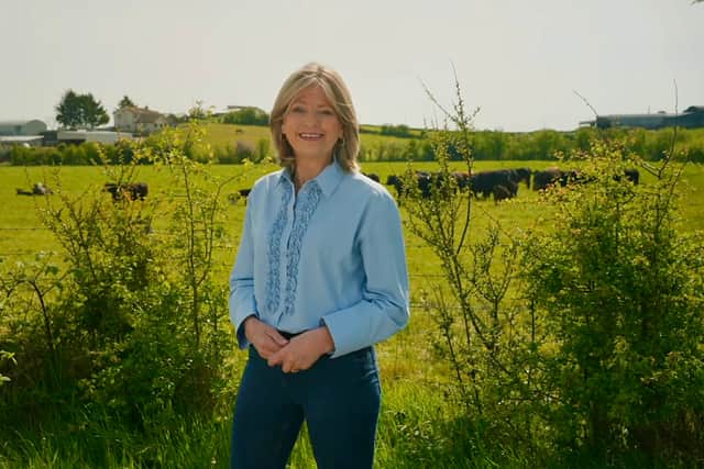Ulster Unionist Deputy Leader Diana Armstrong MLA
