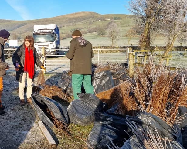 Hedgerow expert Jasper Prachek gives advice to Hope Valley farmer Denise Matthews as she prepares for planting on her farm. Picture: Submitted