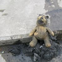 NI Water remembers very unusual Winnie-the-Pooh sewer rescue lodged in Ballymoney