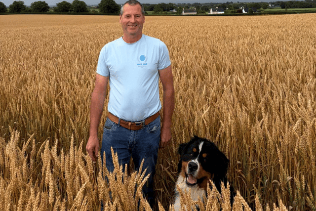 Mark McCollum and Bruno in top field of winter wheat in Northern Ireland.