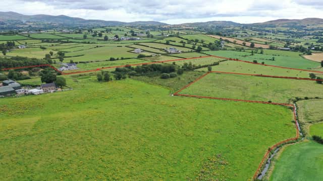 It's estimated that there is circa 27 acres of grazing land. Image: Wilsons Auctions