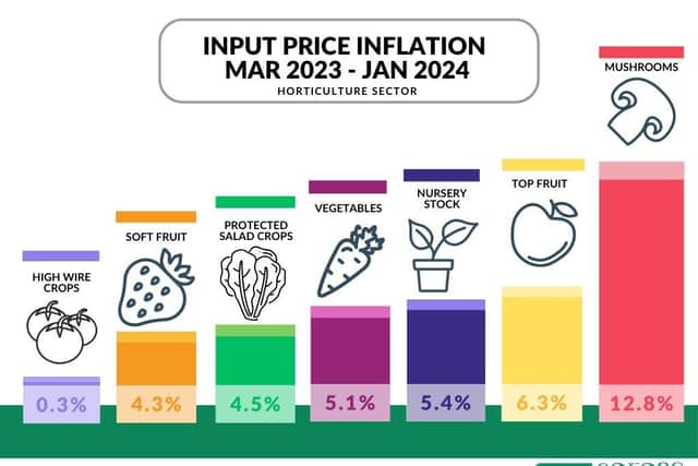 Valued at €521 million (farm gate value) horticulture is the fourth largest sector in Ireland after dairy, beef and pigs in terms of gross agricultural commodity output value. Picture: Submitted