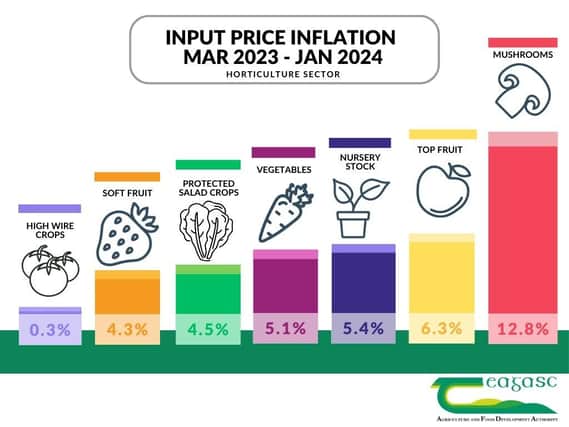 Valued at €521 million (farm gate value) horticulture is the fourth largest sector in Ireland after dairy, beef and pigs in terms of gross agricultural commodity output value. Picture: Submitted